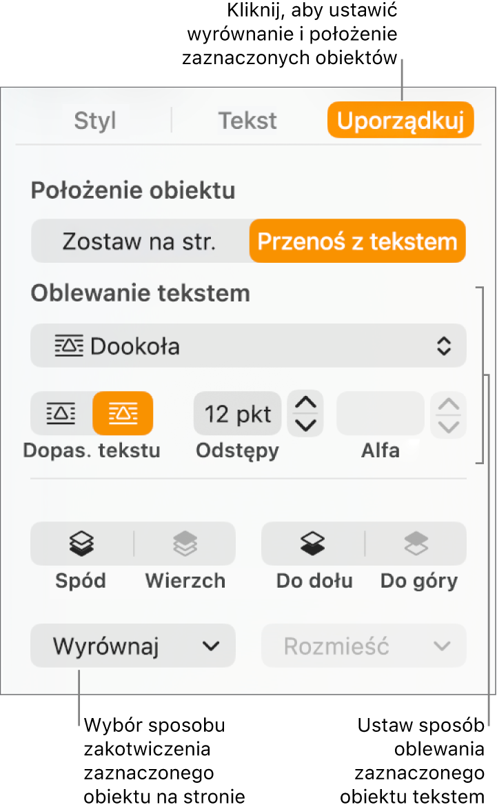Pokazane jest menu Format z paskiem bocznym Uporządkuj. Ustawienia położenia obiektu na górze paska bocznego Uporządkuj, a poniżej ustawienia zawijania tekstu.