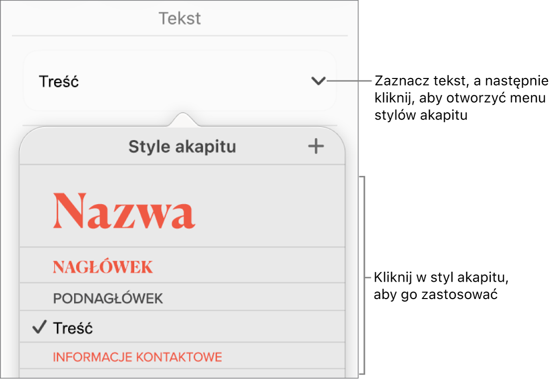 Menu stylów akapitu.