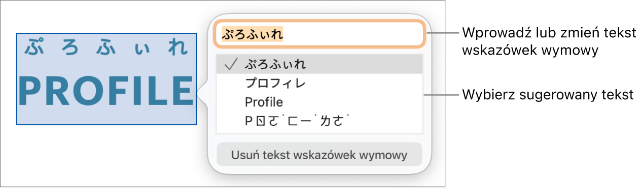 Wskazówki wymowy dla danego wyrazu. Etykiety wskazują pole tekstowe i sugerowany tekst.