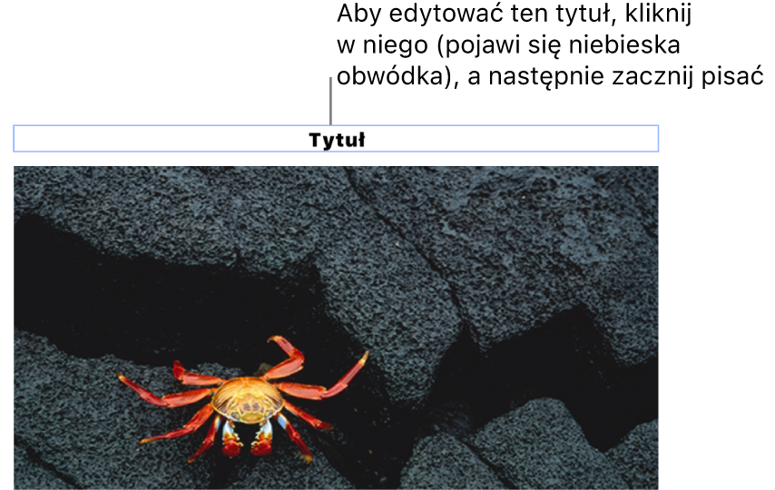 Tytuł zastępczy o treści „Tytuł” widoczny powyżej zdjęcia. Niebieska ramka wokół pola tytułu wskazuje, że jest on zaznaczony.