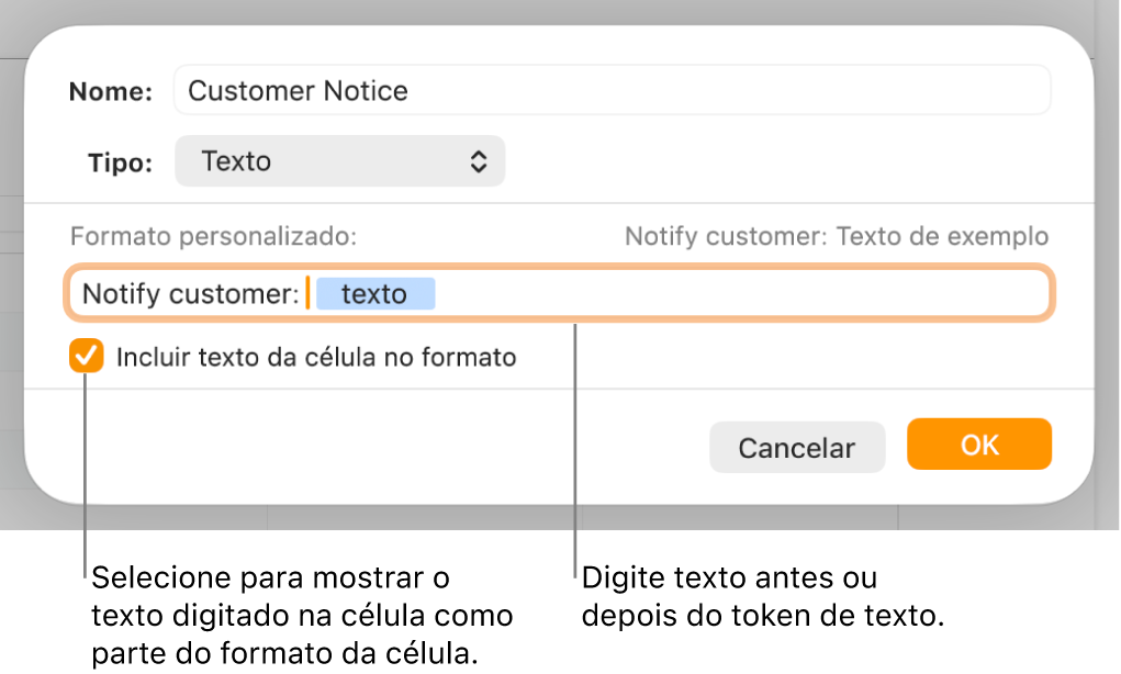 Janela de formato de célula personalizado com controlos para escolher o formato de texto personalizado.