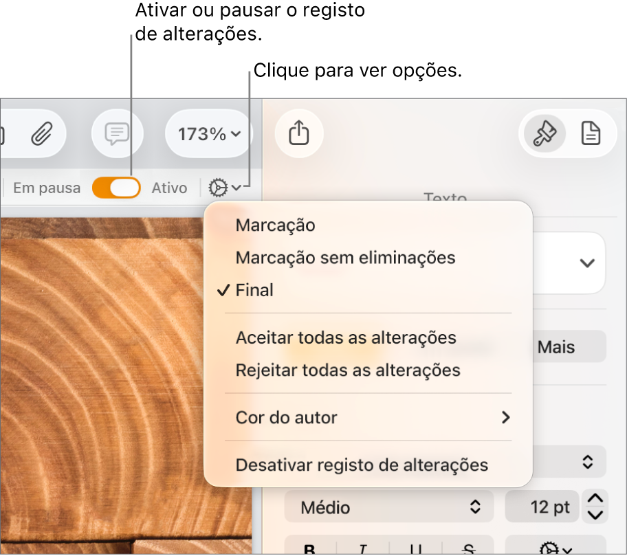 Menu “Registo de alterações” com “Desativar registo de alterações” na parte inferior e chamadas para o botão “Registo de alterações” ativo e “Em pausa”.