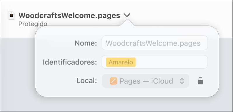 Pop-up para proteger ou desproteger um documento.