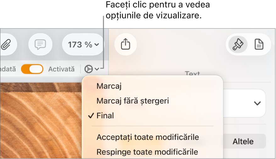 Meniul de opțiuni pentru revizuire afișând Marcaj, Marcaj fără ștergeri și Final.