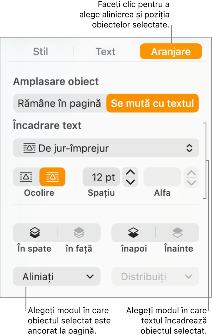 Meniul Format afișând bara laterală Aranjare. Configurările Amplasare obiect se află în partea de sus a barei laterale Aranjare și configurările Încadrare text sunt dedesubt.