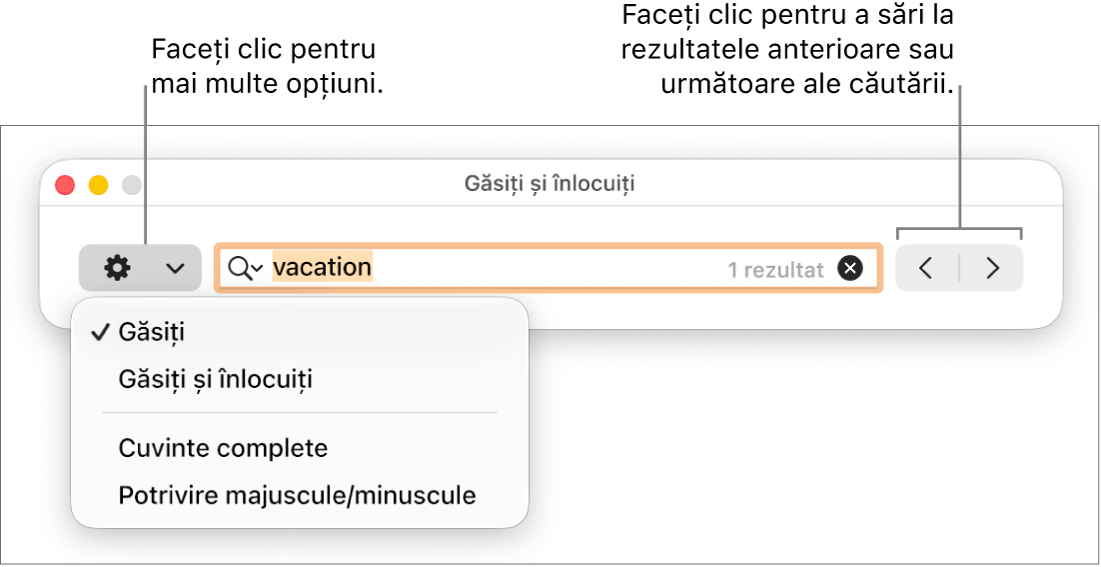 Fereastra Găsește și înlocuiește cu meniul pop-up afișând opțiunile Găsește, Găsește și înlocuiește, Cuvinte complete și Majuscule/minuscule. Săgețile din dreapta vă permit să treceți la rezultatele anterioare sau următoare ale căutării.