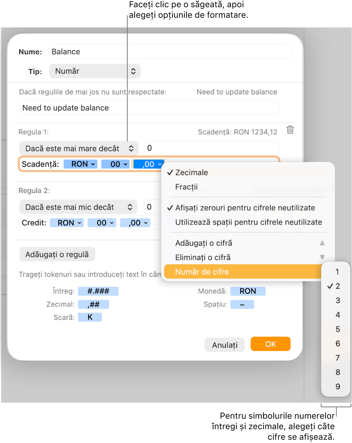 Fereastra de formatare personalizată a celulei cu comenzi pentru alegerea opțiunilor personalizate de formatare.