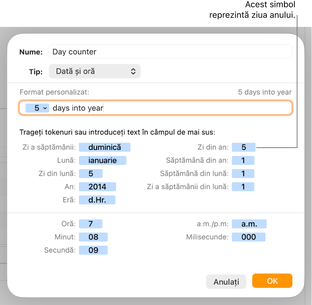 Fereastra de formatare personalizată a celulei, cu comenzi pentru alegerea formatării personalizate a datei și orei.