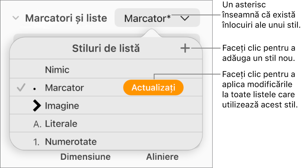 Meniul pop-up Stiluri listă cu un asterisc care indică o suprareglare și explicații la butonul Stil nou, precum și opțiuni pentru gestionarea stilurilor.