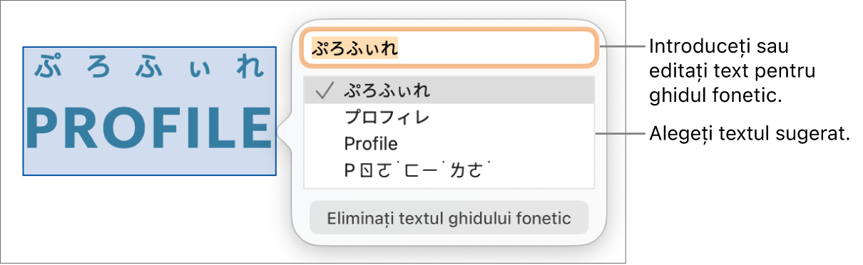 Se va deschide ghidul fonetic pentru un cuvânt, cu explicații pentru câmpul text și textul sugerat.