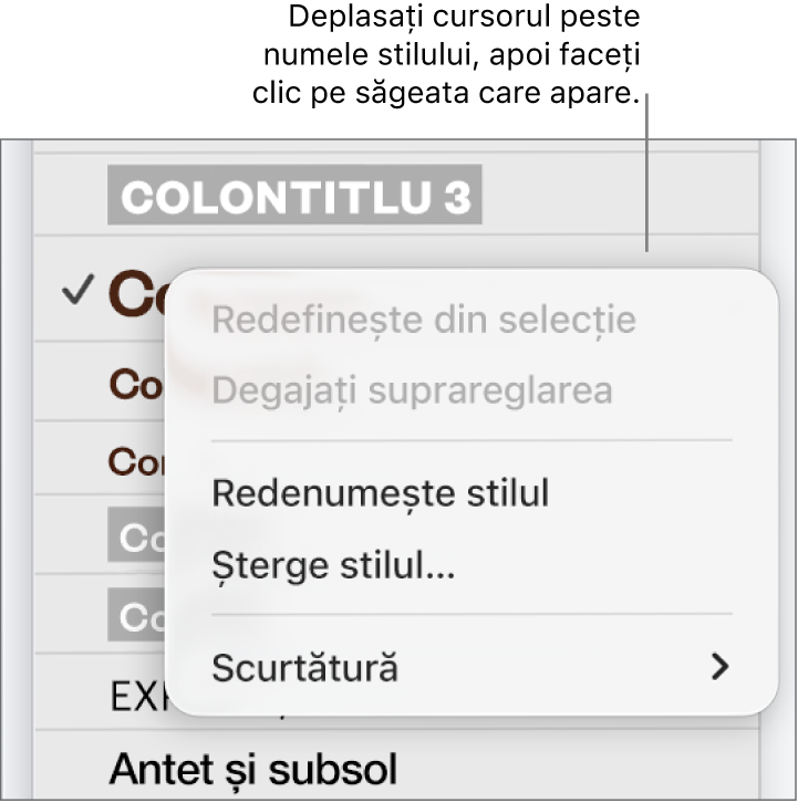 Meniul Stiluri de paragraf cu meniul de scurtături deschis.