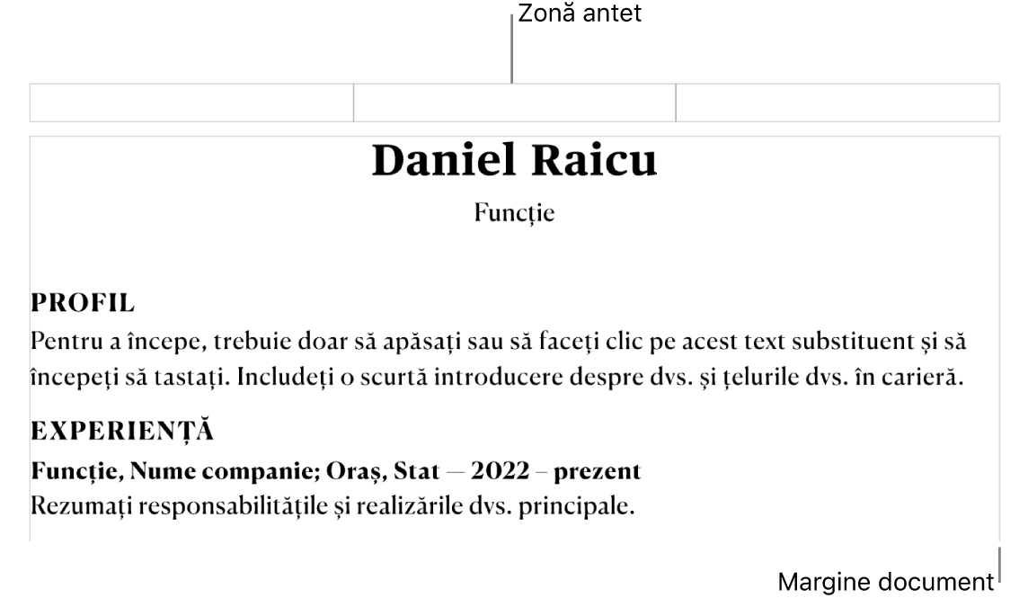 Vizualizare Aranjament afișând zona antetului și marginile documentului.