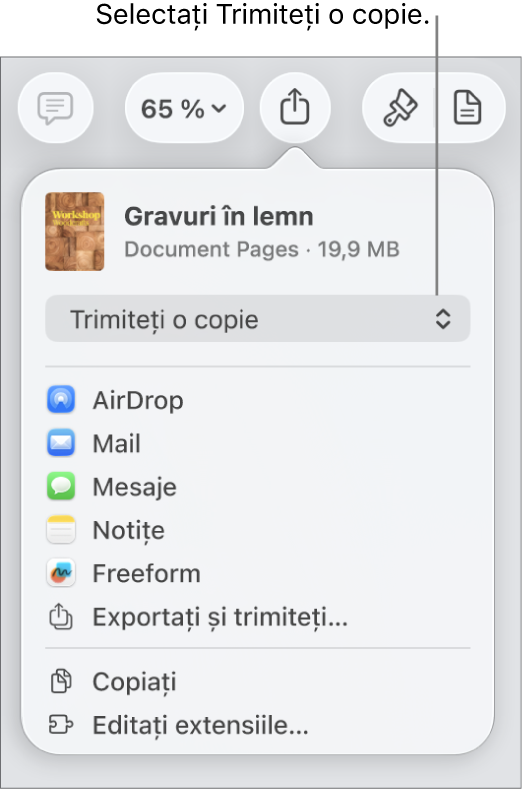 Meniul Partajează, cu opțiunea Trimite o copie selectată în partea de sus.