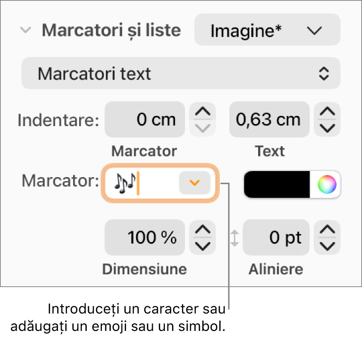 Secțiunea Marcatori și liste din bara laterală Format. Câmpul Marcatori afișează un emoji floare.