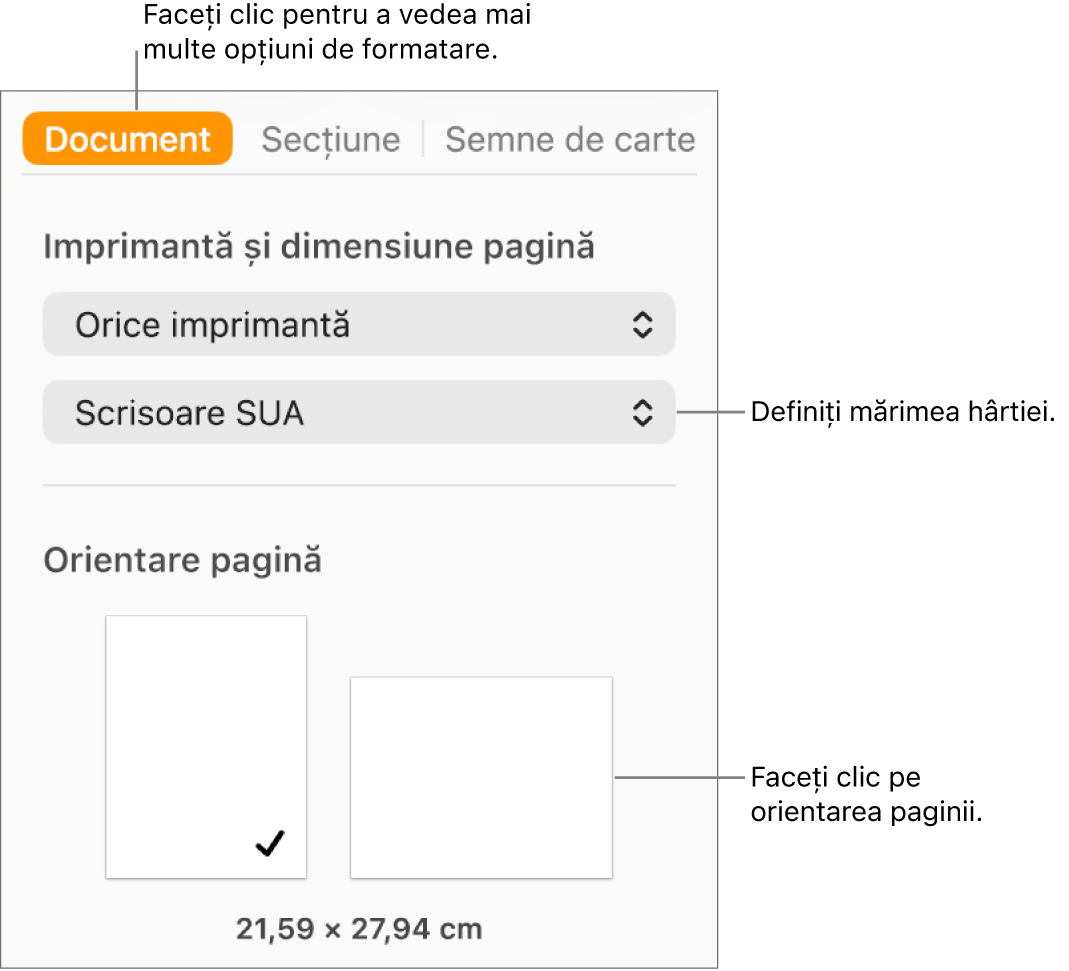 Bara laterală Document cu fila Document selectată în partea de sus a barei laterale. În bara laterală se află un meniu pop‑up pentru configurarea mărimii hârtiei și butoane pentru orientarea paginii în modul portret sau peisaj.