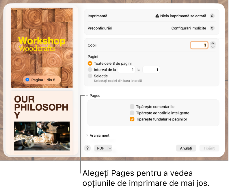 Dialogul de tipărire și comenzile pentru imprimantă, preconfigurări, copii și intervalul de pagini. Se selectează Pages în meniul pop-up de sub configurările pentru intervalul de pagini, urmat de casetele de validare pentru tipărirea comentariilor, tipărirea adnotărilor inteligente și tipărirea fundalurilor paginilor.
