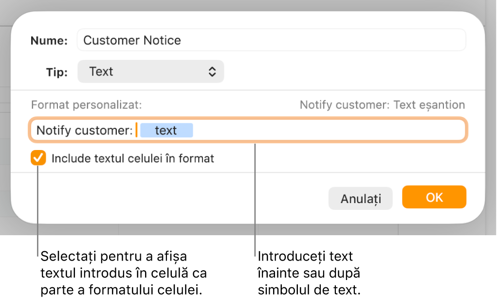 Fereastra de formatare personalizată a celulei, cu comenzi pentru alegerea formatării personalizate a textului.