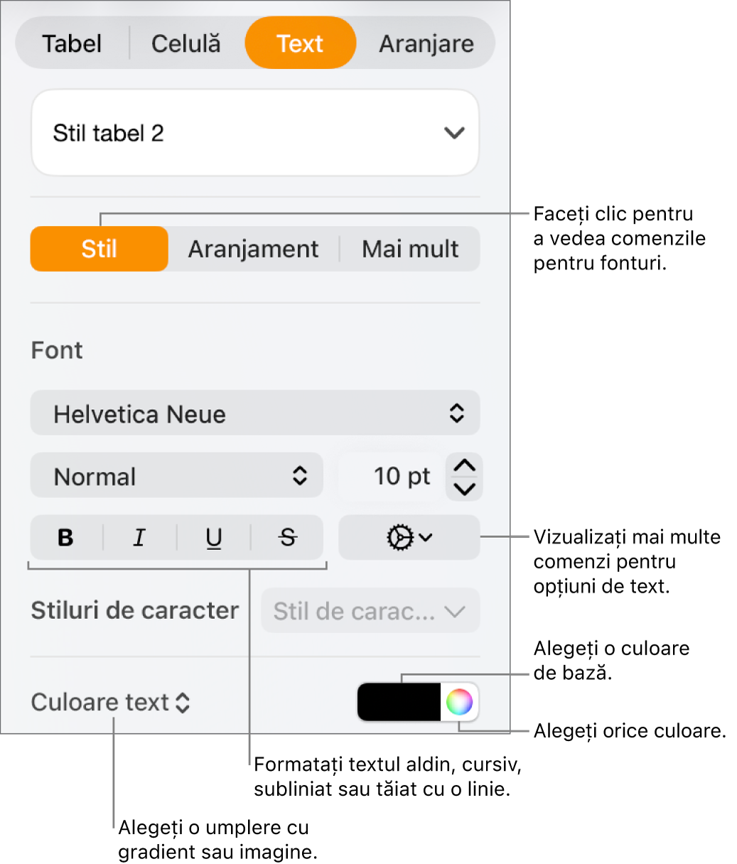 Comenzile pentru stilul textului din tabel.