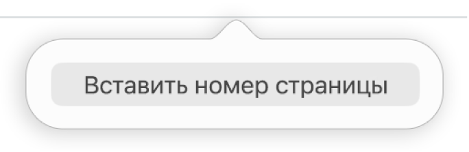 Кнопка «Вставить номер страницы» под верхним колонтитулом.