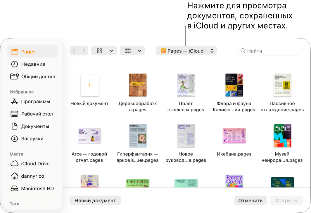 Диалоговое окно «Открыть»: слева открыто боковое меню, а во всплывающем меню вверху выбран iCloud Drive. В диалоговом окне отображается папка Pages, а также кнопка «Новый документ».