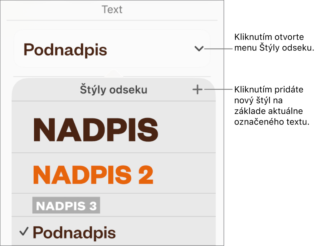 Menu Štýly odseku zobrazujúce ovládacie prvky na pridanie alebo zmenu štýlu.