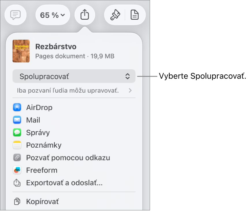 Menu Zdieľať s vybranou možnosťou Spolupracovať navrchu a pod ňou sa nachádzajú nastavenia prístupu a povolení.