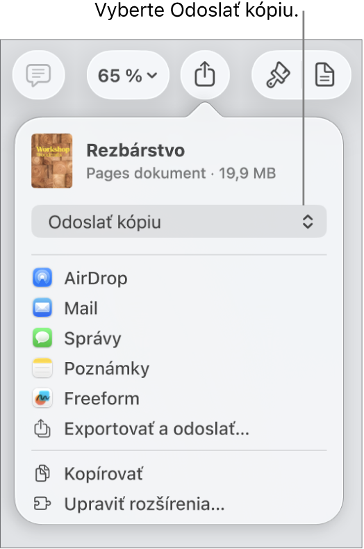 Menu Zdieľať s vybranou možnosťou Odoslať kópiu vo vrchnej časti.