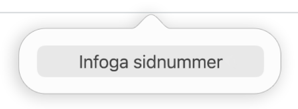 Knappen Infoga sidnummer nedanför rubriken.
