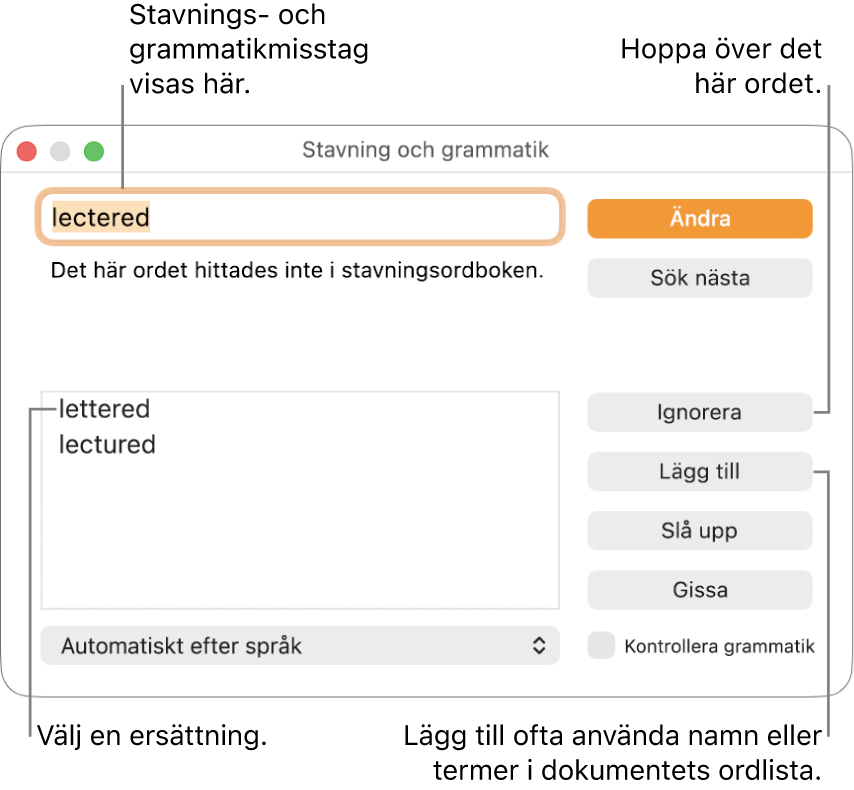Fönstret Stavning och grammatik.