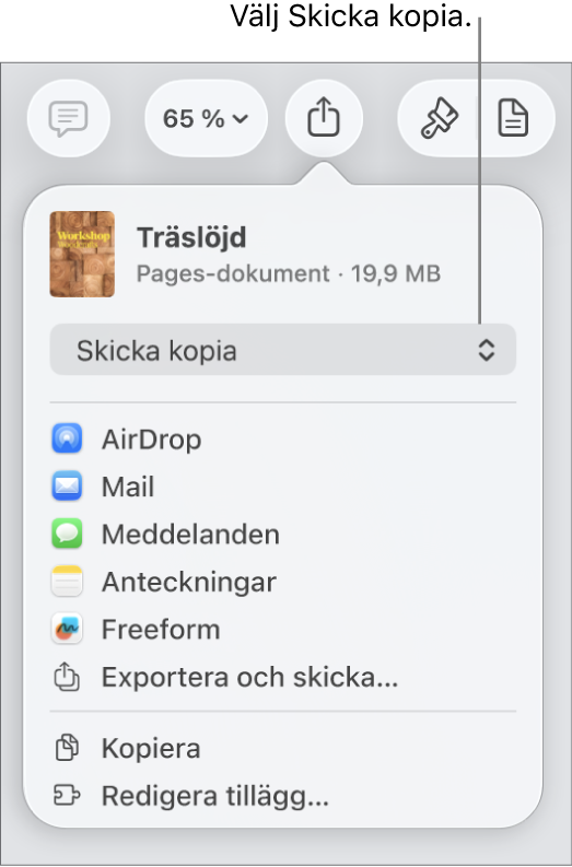 Delningsmenyn med Skicka kopia markerat högst upp.
