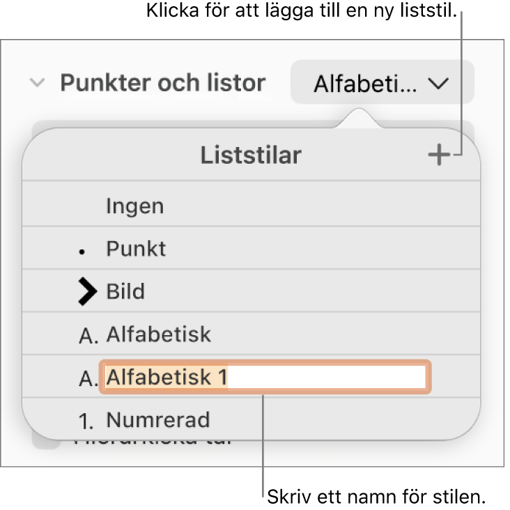 Popupmenyn Liststilar med en lägg till-knapp i det övre högra hörnet och ett platshållarstilnamn med markerad text.