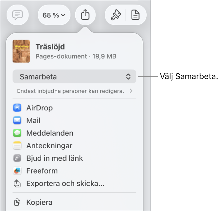 Delningsmenyn med Samarbeta markerat högst upp och tillgångs- och behörighetsinställningar under.