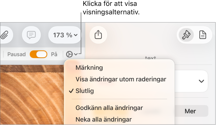 Menyn med granskningsalternativ som visar Märkning, Visa ändringar utom raderingar och Slutgiltigt.