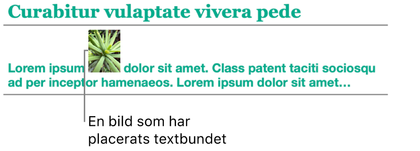En bild placeras förankrad till texten.