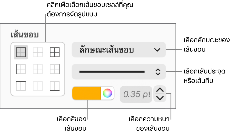 ตัวควบคุมการจัดลักษณะของเซลล์