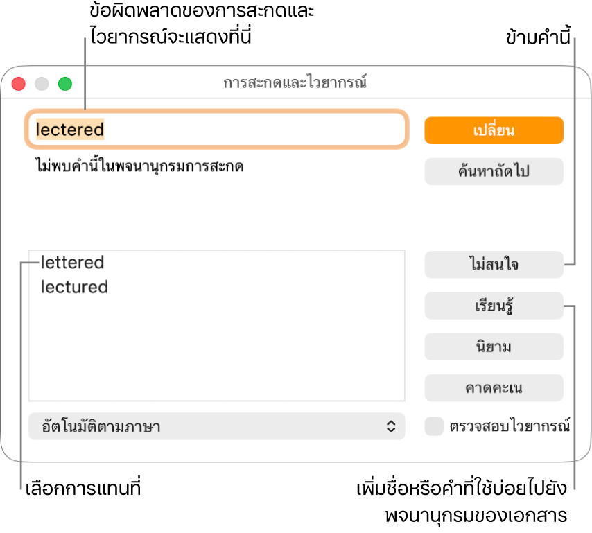 หน้าต่างการสะกดและไวยากรณ์