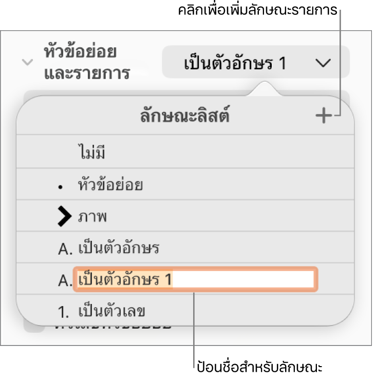 เมนูลักษณะรายการที่แสดงขึ้นที่มีปุ่มเพิ่มอยู่มุมขวาบนสุด และชื่อลักษณะช่องว่างที่มีข้อความที่เลือกอยู่