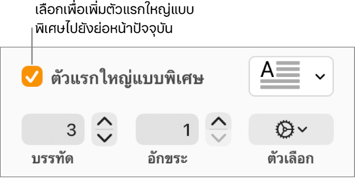 กล่องกาเครื่องหมายตัวแรกใหญ่แบบพิเศษถูกเลือกอยู่ และเมนูที่แสดงขึ้นแสดงทางด้านขวา โดยตัวควบคุมสำหรับการตั้งค่าความสูงของบรรทัด จำนวนอักขระ และตัวเลือกอื่นๆ แสดงอยู่ด้านล่าง