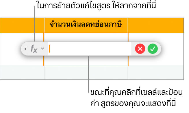ตัวแก้ไขสูตร
