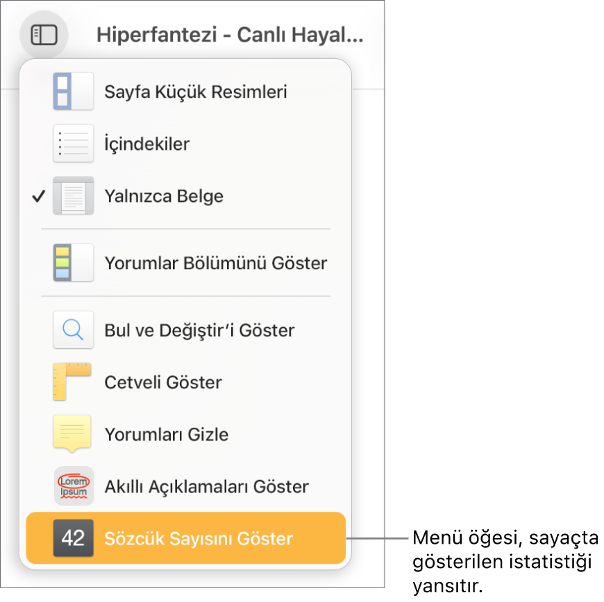 En alt taraftaki Karakter Sayısını Göster ile birlikte açık Görüntü menüsü.