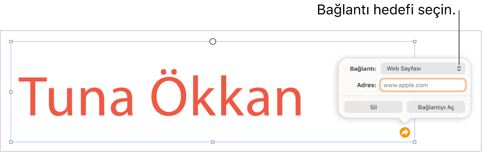 Bağlantı düzenleyici denetimlerinde Web Sayfası seçili, en altta ise Bağlantıyı Sil ve Aç düğmeleri bulunuyor.