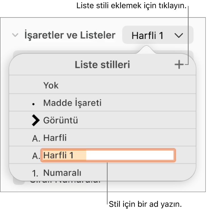 Sağ üst köşede Ekle düğmesi olan Liste Stilleri açılır menüsü ve metni seçili olan yer tutucu stili adı.