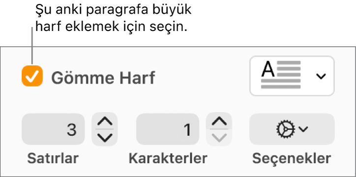 İlki Büyük Harf onay kutusu seçilidir ve sağında bir açılır menü görünür; satır yüksekliğini, karakter sayısını ve diğer seçenekleri ayarlama denetimleri ise altında görünür.