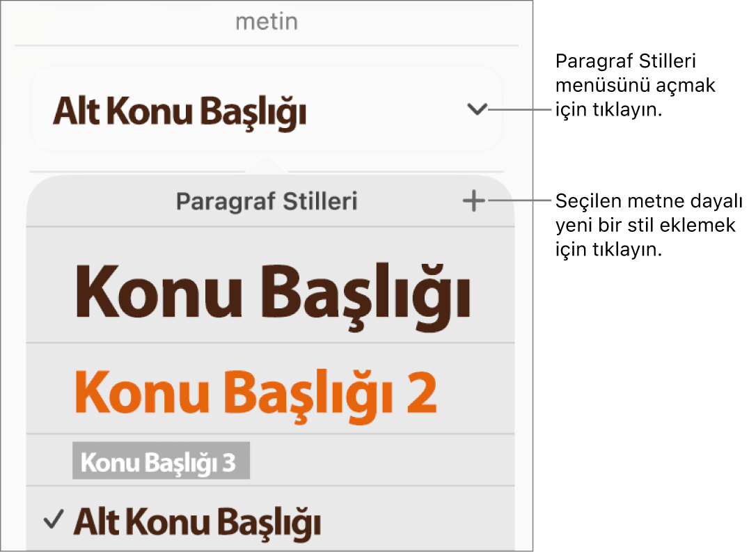Stil ekleme veya değiştirme denetimlerini gösteren Paragraf Stilleri menüsü.