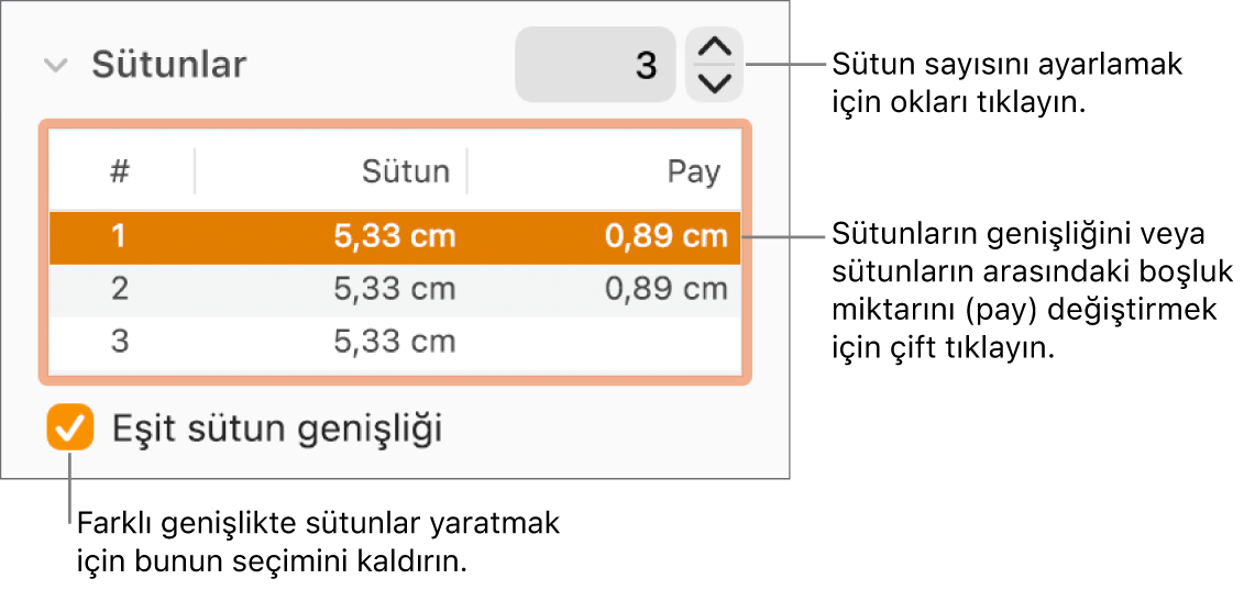 Biçim denetçisinin sütun denetimlerini gösteren Yerleşim bölümü.