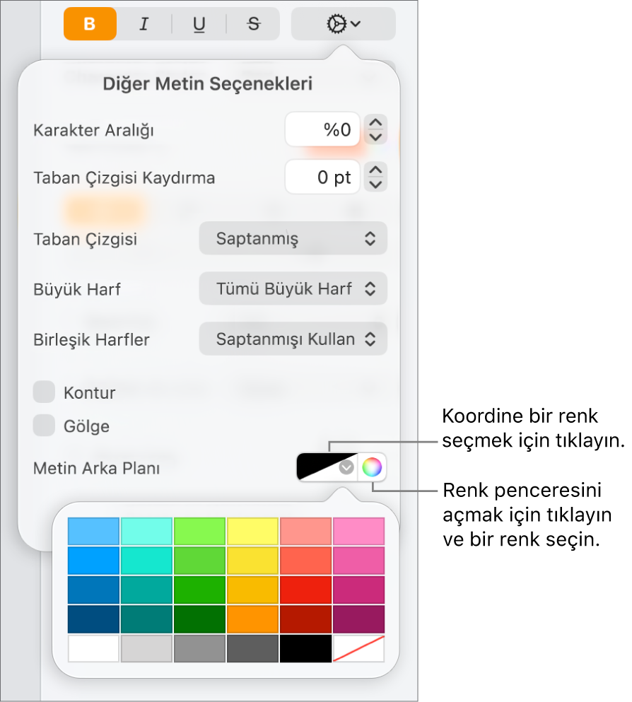 Metin için arka plan rengi seçme denetimleri.