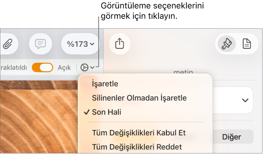 İşaretle, Silinenler Olmadan İşaretle ve Son Hali öğelerini gösteren gözden geçirme seçenekleri menüsü.