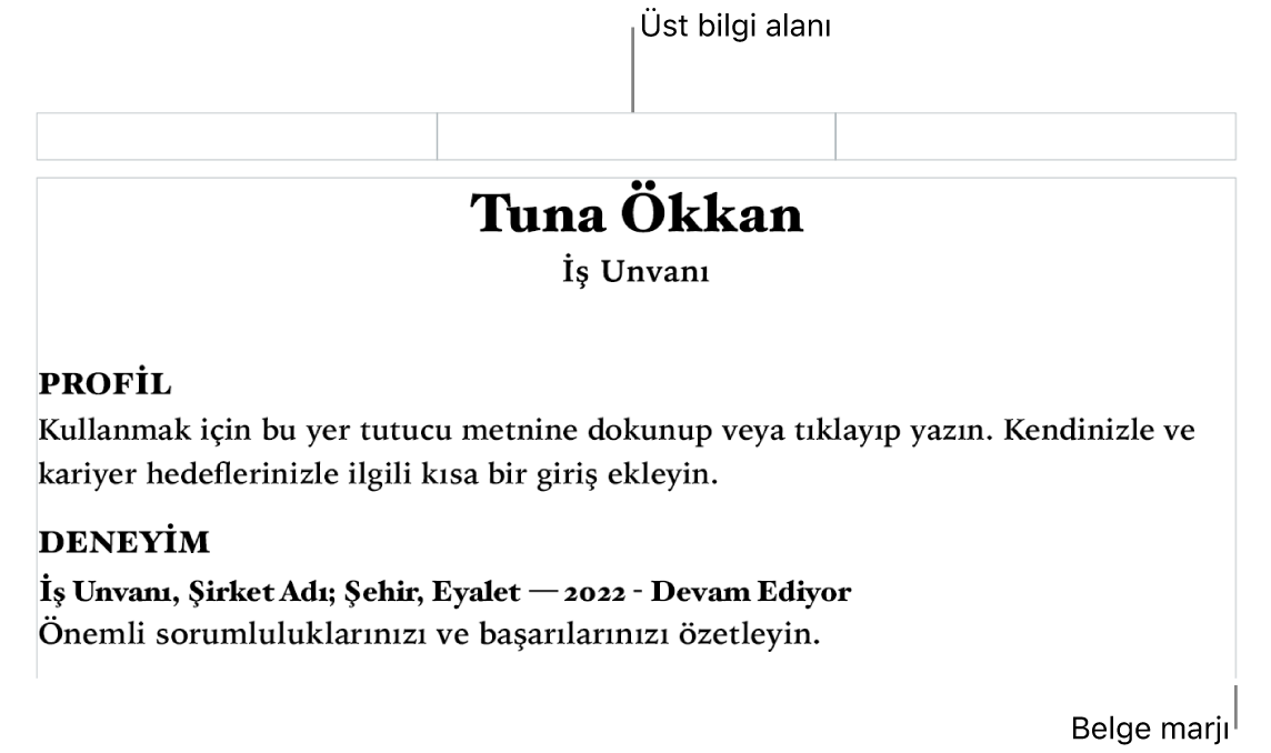 Üst bilgi alanını ve belge marjlarını gösteren yerleşim görüntüsü.
