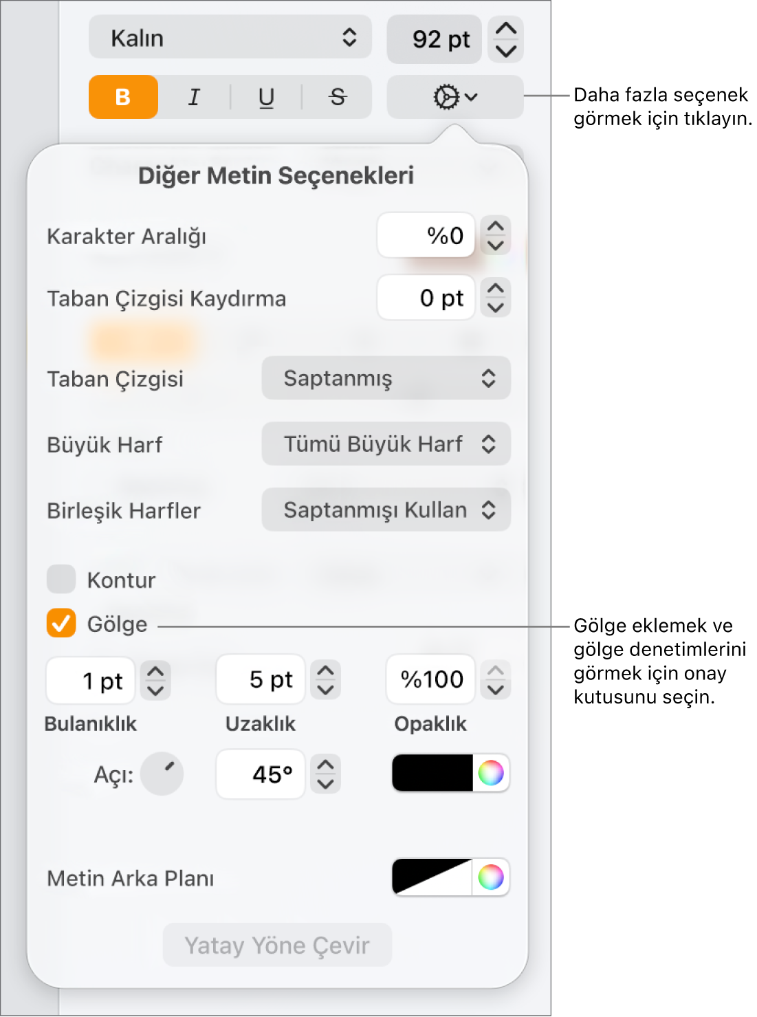 Bulanıklığı, uzaklığı, opaklığı, açıyı ve rengi ayarlama denetimleri ile İleri Düzey Seçenekler menüsü açık ve Gölgeler onay kutusu seçili.
