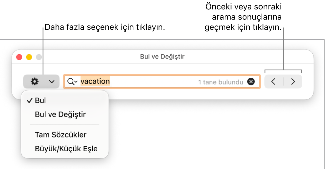 Bul ve Değiştir penceresi; Bul, Bul ve Değiştir, Tam Sözcükler ve Büyük/Küçük Eşle seçeneklerini gösteren açılır menüyü içerir. Sağ taraftaki oklar, önceki veya sonraki arama sonuçlarına gitmenizi sağlar.